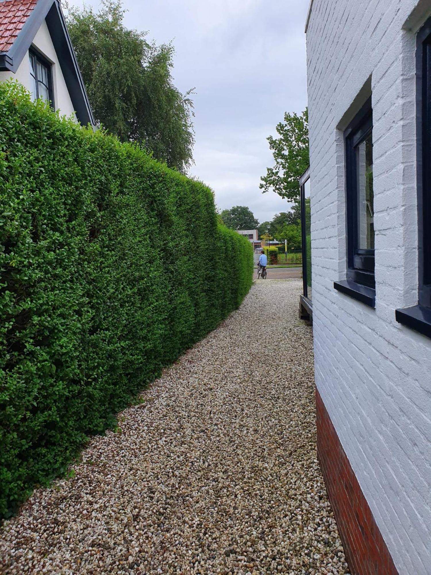 Zelfstandig Gastenverblijf In Het Groene Haren Nabij Groningen Eksteriør billede